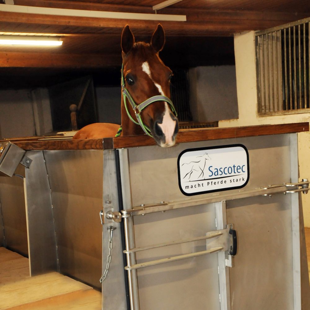 Aqua­trainer von Sascotec – Wasser­laufband für Pferde