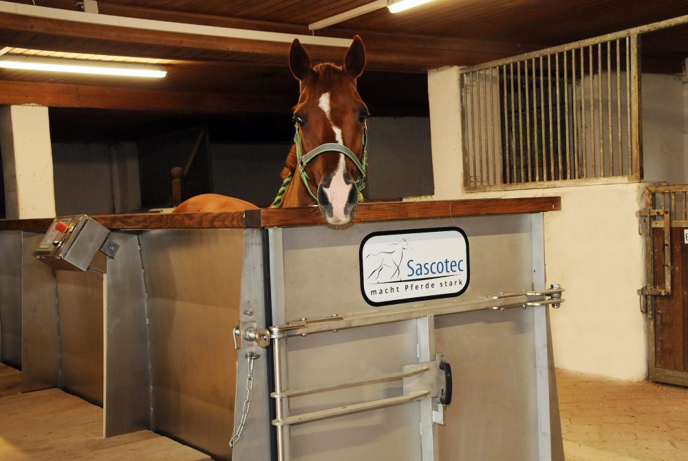 Aqua­trainer von Sascotec – Wasser­laufband für Pferde