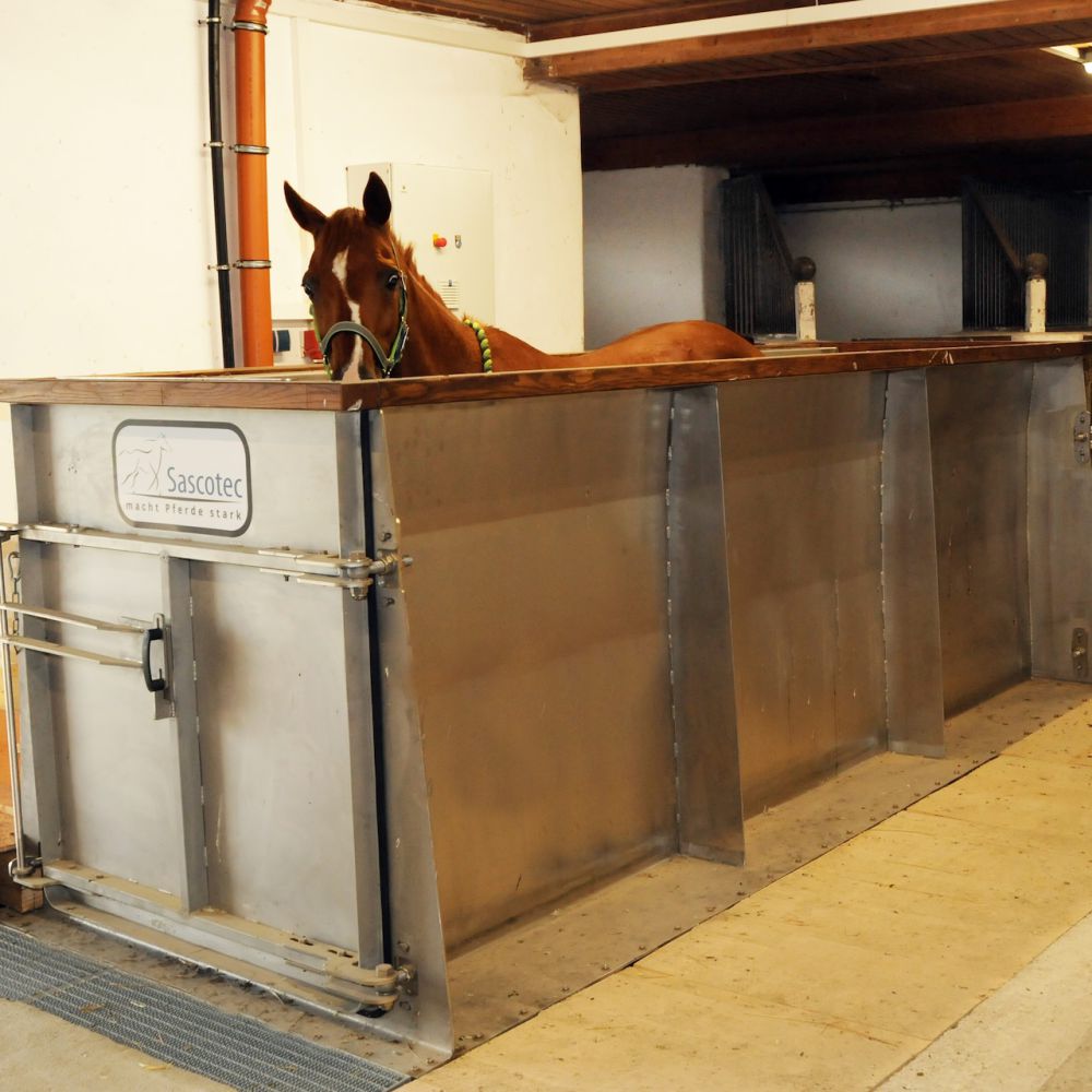 Aqua­trainer von Sascotec – Wasser­laufband für Pferde