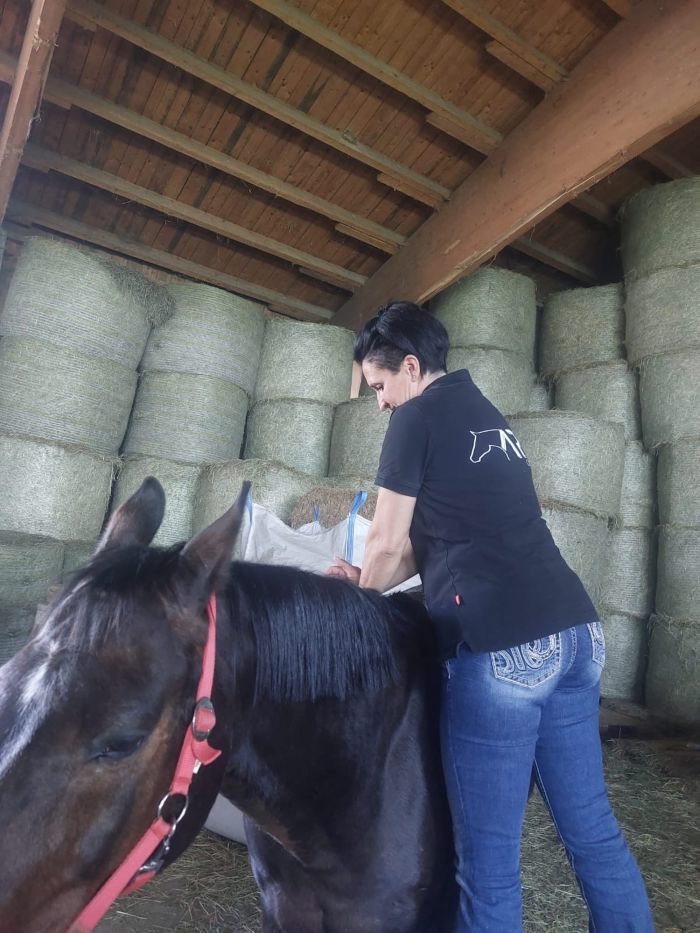 Therapeutin untersucht Pferd im Heimatstall – mobile Behandlung