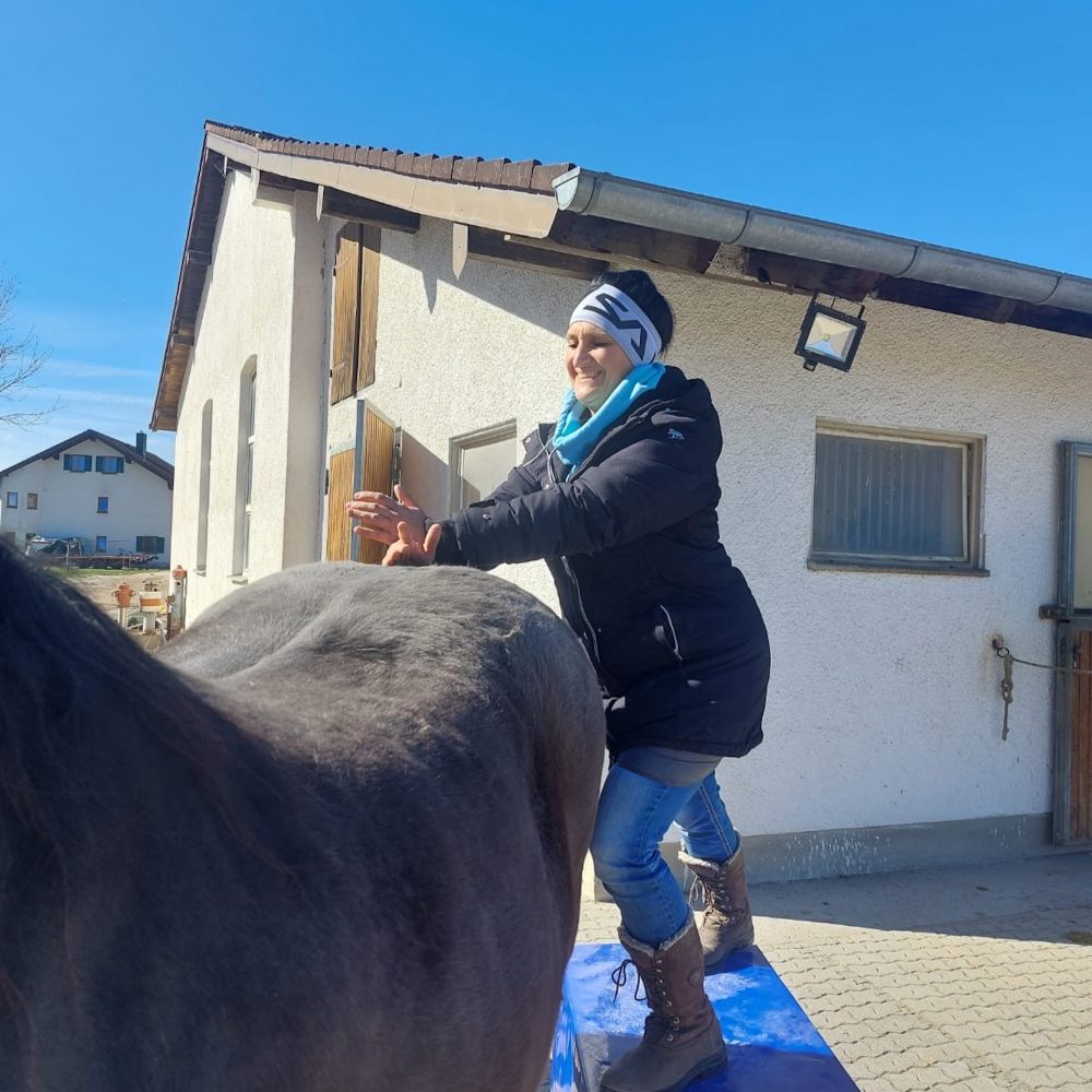 Mobile Pferde­therapie – Ich komme zu Euch in den Stall